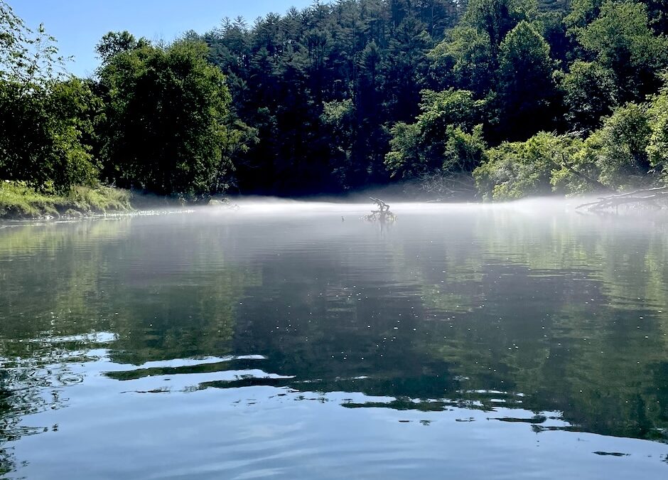 Photo of lake with mist over it and blue sky with hillside of green trees