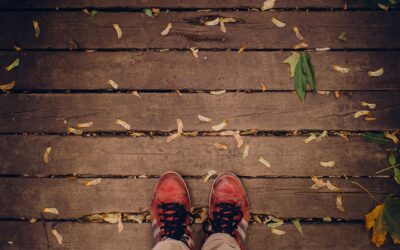 Maintaining and Cleaning Your Deck: Tips for Longevity and Beauty